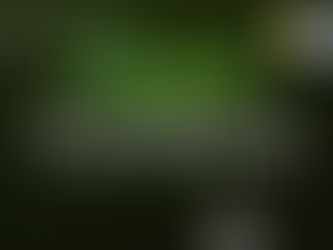 HYPERLIQUID-THEMED UX ON CARDANO