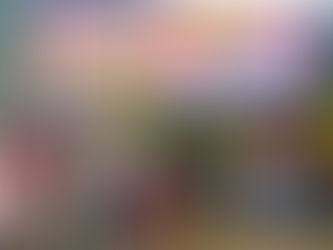 Resultado definitivo de um dos eixos do Amapá Jovem é divulgado