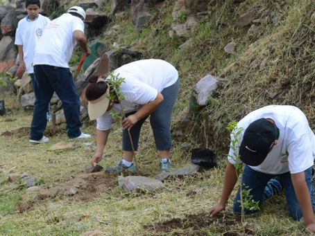 Tonalá se une por el verde: reforestan el Parque Lineal de Loma Dorada