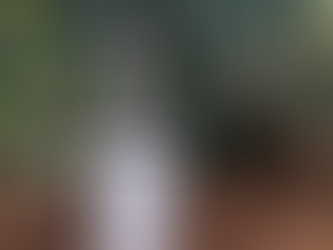 La Raicilla de Mascota y El Tuito: el destilado jalisciense que pasó de secreto rural a estrella global