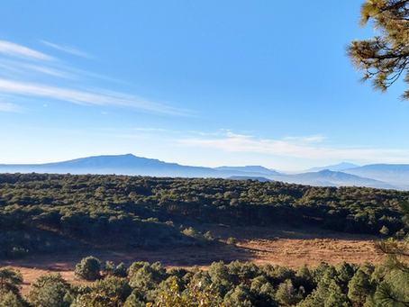 Bosque La Primavera: pulmón natural y tesoro ecológico de Jalisco
