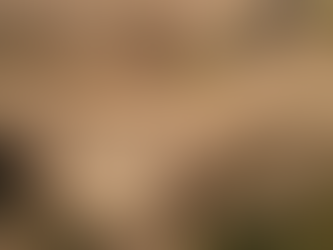 Jungle Trail Run & Brunch 2026: corre, celebra y disfruta la Costa de Jalisco