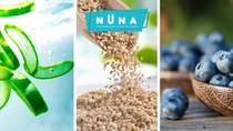 Conoce 10 superalimentos que deberías integrar a tu dieta