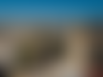 Tala, Jalisco: la Tierra de Gigantes donde el pasado se mide en grande