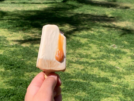 Mexticacán: cuna de la paleta de hielo en Jalisco