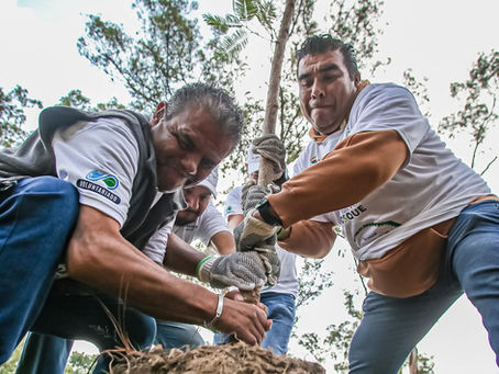 Entre palas, árboles y cheve: así se celebra el Día del Árbol en Guadalajara
