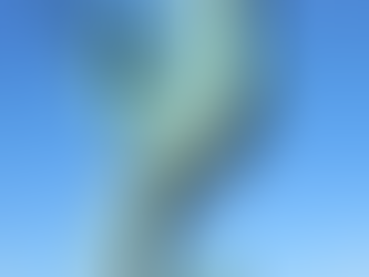 Rafael Zamarripa: el artista que puso identidad jalisciense en bronce