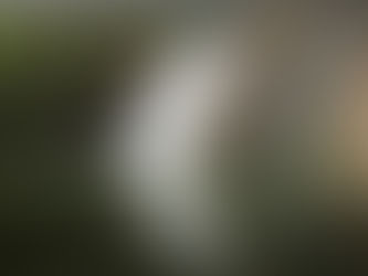 El Salto del Nogal: la cascada más alta de Jalisco (y casi nadie lo sabe)