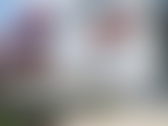 El Banco de Alimentos: una mano amiga que nutre a Jalisco