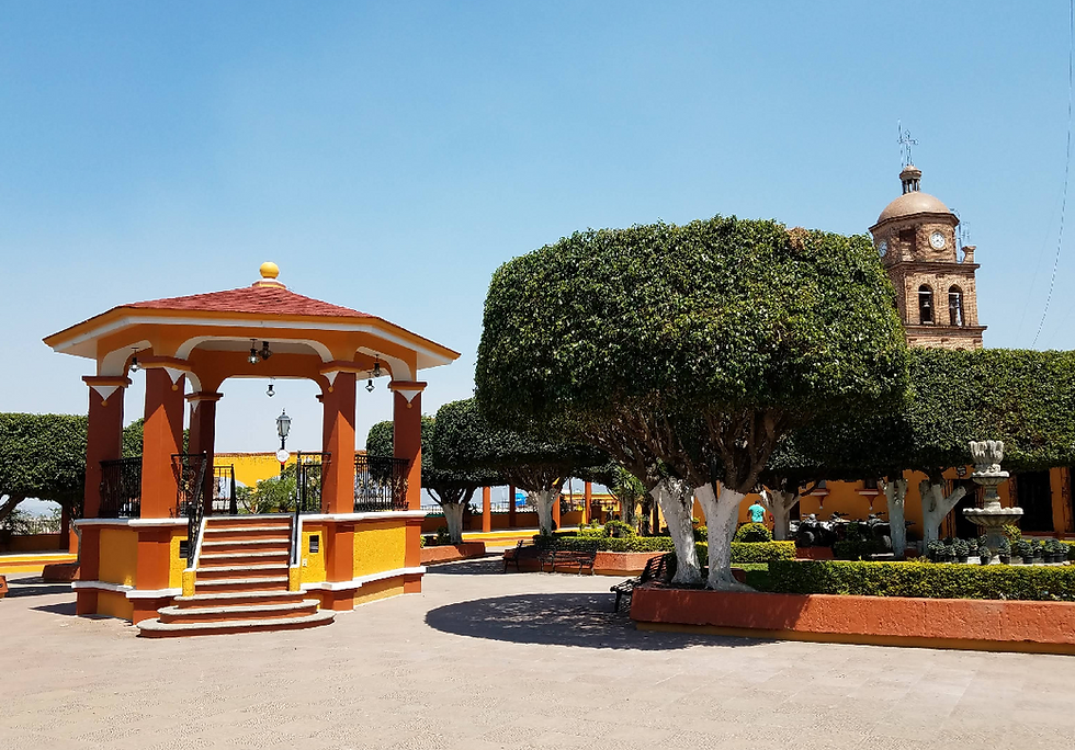 Techaluta: pequeño en mapa, grande en sabor