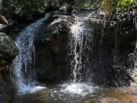 Un paraíso escondido entre los cerros de Vallarta: El Salto de Agua Azul