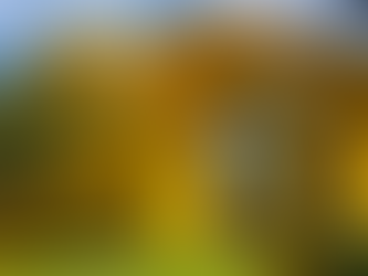 Arcos del Milenio: el monumento moderno que vigila Lázaro Cárdenas