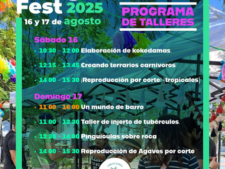 Refugio Fest 2025: talleres, barro y plantas que inspiran