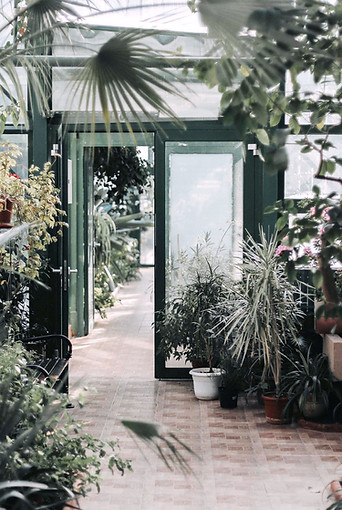 Greenhouse