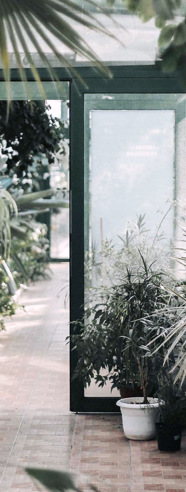 Greenhouse