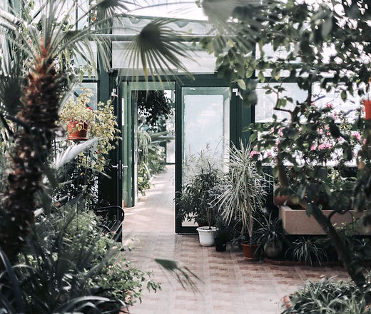 Greenhouse