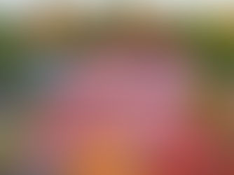 ONEC Tennis 2022 Wrap-Up