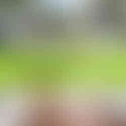 Photo of teal Bradenton Florida home that closed quickly in 14 days with 14 Days to Close.