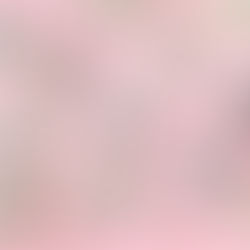 Rolled and stacked US dollar bills secured with rubber bands on a pink background, featuring various denominations including 100 and 5.