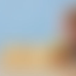 Hand flips a wooden block with red down and green up arrows beside three blocks with percentage signs on a wooden surface against a blue background.