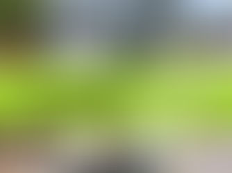 Can You Close on a Home in 14 Days? Here’s How It’s Possible