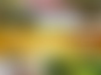 Single-story house with a red roof and lush surroundings. Text: "Closed in 6 Days, 2136 NW 14th Ter, Homestead, FL 33030," over gold background.