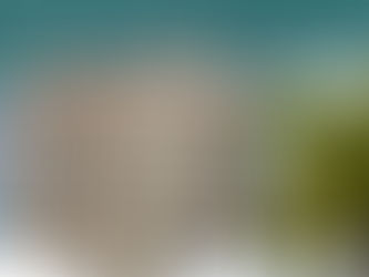 Condo Cliff Crisis: Navigating Florida’s Financial Turbulence in Real Estate