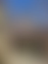 何処か行きたい処ある?