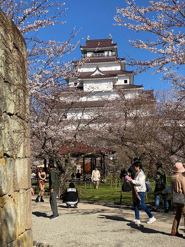 何処か行きたい処ある?