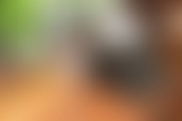 古いタイプライターが物置同然