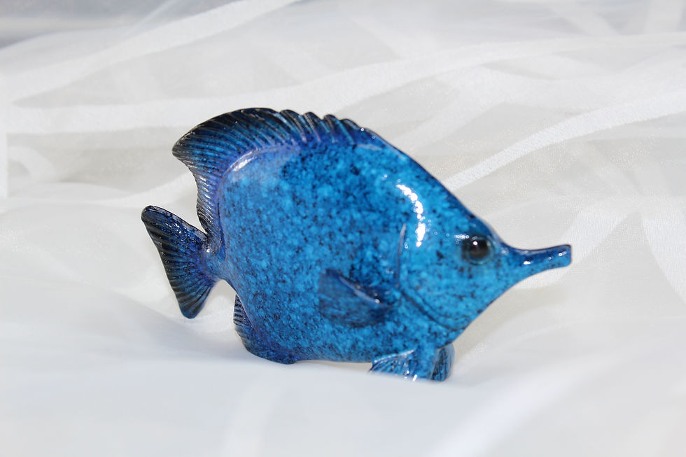 Miniaturbild: Fisch Ozean