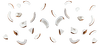 coconut-pieces.png
