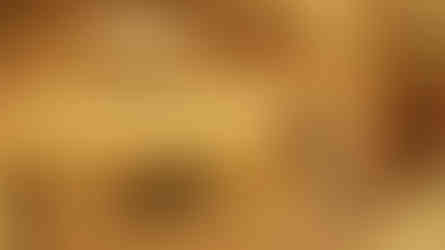 WhatsApp Image 2026-02-25 at 7.21.24 AM (2)