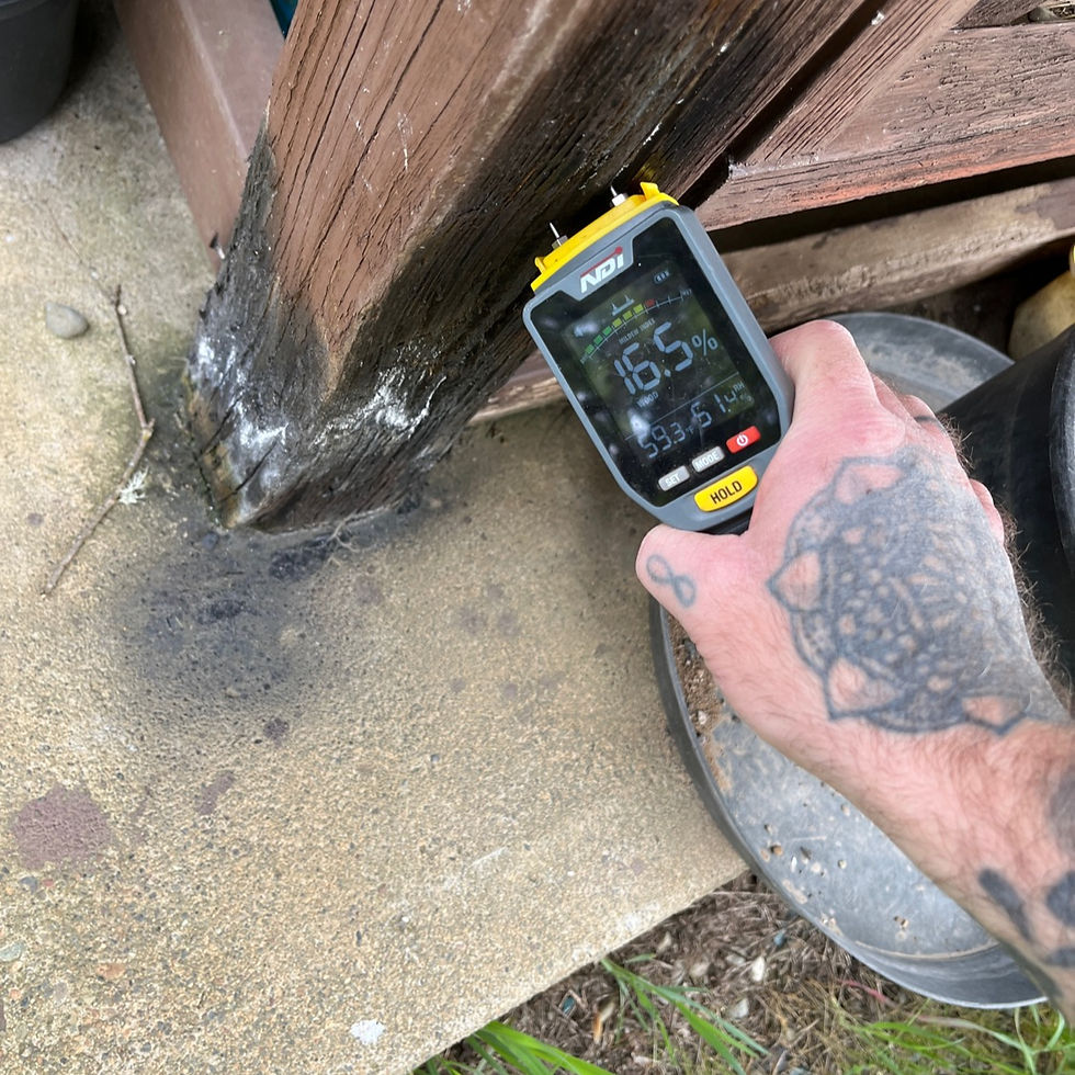 Moisture meter reading on exterior structural component.