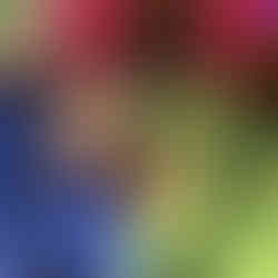 Dress: thrifted Herve Leger bandage dress