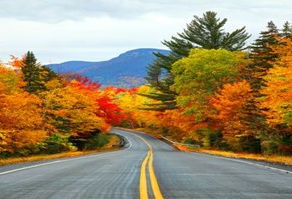 Life's Colourful Journey!