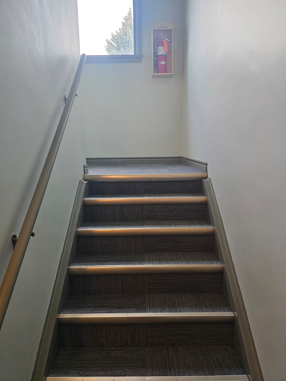 Commercial Painting and carpet tiles in Calgary, Alberta