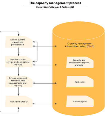 capacity management process  portfolio illustration