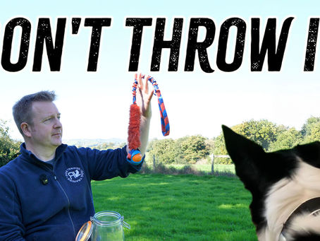 🎾 Why Ball Chucking Can Be a Problem (and What to Do Instead)