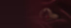 feature-garnet-wix-banner.jpg