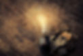 lamp.jpg