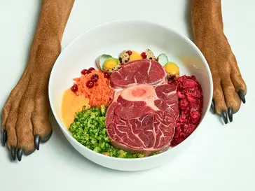 寵物生食點處理好?教你留意事項!