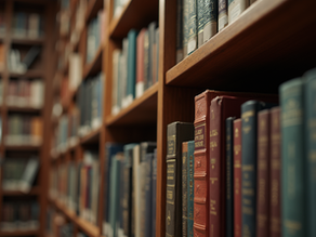 Explore Your Interests: Tailored Content for Everyone