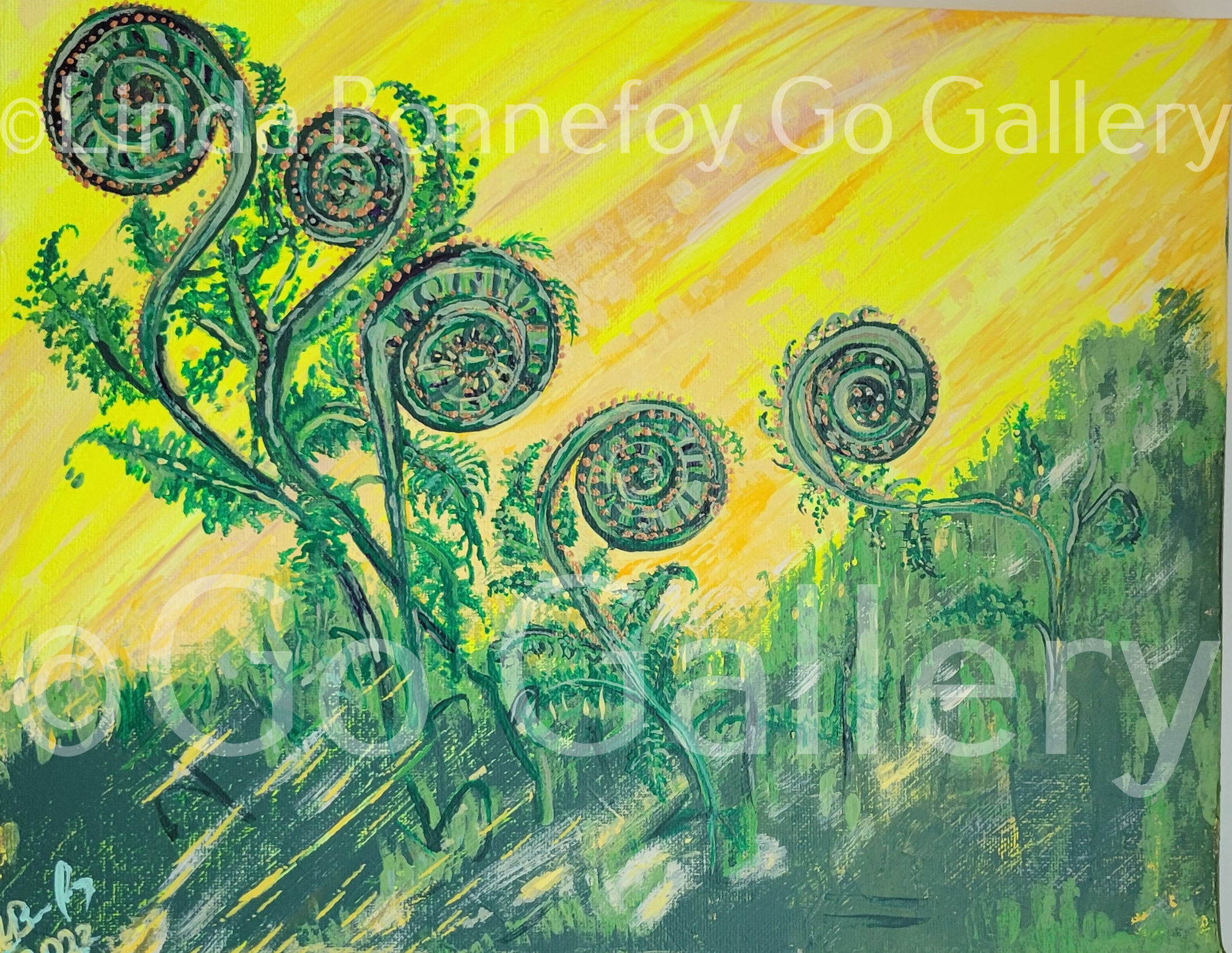 Fiddlehead Sunrise in Kispiox British Columbia