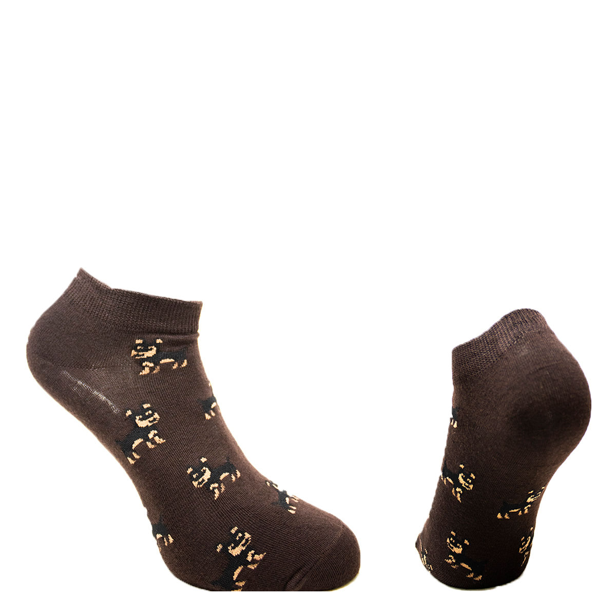 TIN CABALLERO CAFÉ PERROS