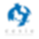 cesie-logo-trasparent-vertical-RGB