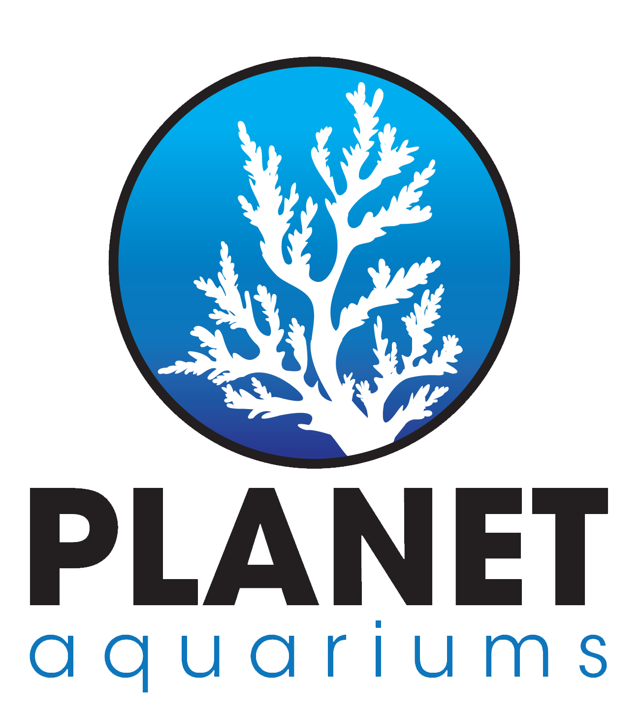 Custom Aquariums Arlington Aquariums