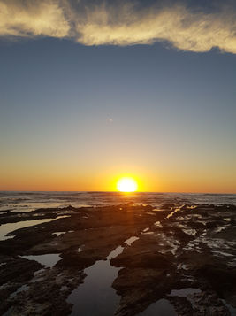 20210222_174730.jpg