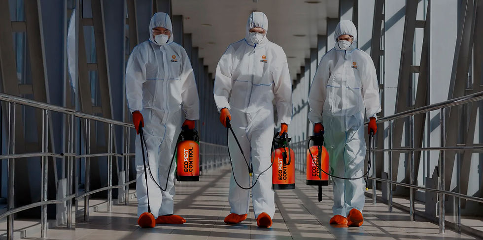 plantilla home tecnicos.jpg