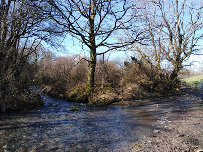 derbyniwyd_886520135458190.jpeg